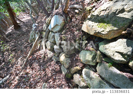 福井県　若狭武田氏「白石山城」の石垣と曲輪・眺望 113836831