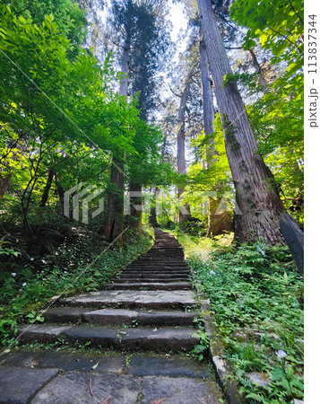 羽黒山：一の坂 113837344