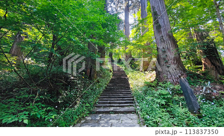 羽黒山:一の坂 羽黒山:一の坂 113837350