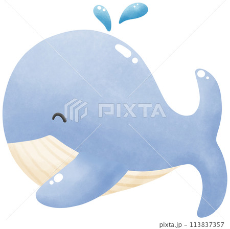 Underwater blue whales Underwater blue whales 113837357