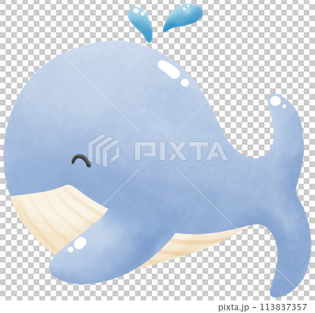 Underwater blue whales Underwater blue whales 113837357