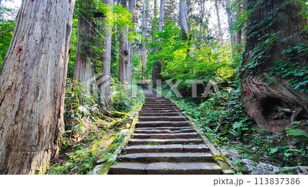 羽黒山:一の坂 羽黒山:一の坂 113837386