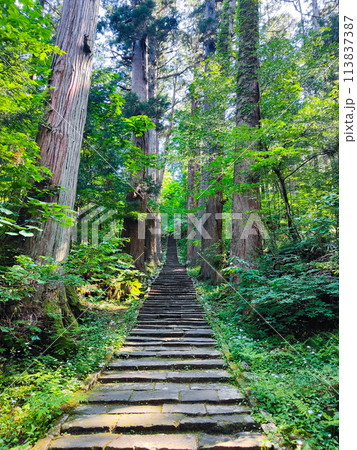 羽黒山：一の坂 113837387