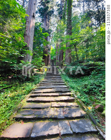 羽黒山：一の坂 113837388