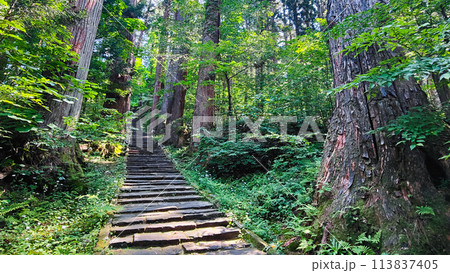 羽黒山：一の坂 113837405