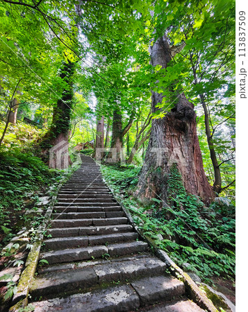 羽黒山：三の坂 113837509