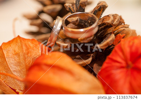 Nuptial Elegance: Wedding Bands Set Against a Rustic Fall Display Nuptial Elegance: Wedding Bands Set Against a Rustic Fall Display 113837674