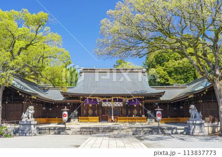 兵庫縣姫路護國神社(姫路護国神社) 兵庫縣姫路護國神社(姫路護国神社) 113837773