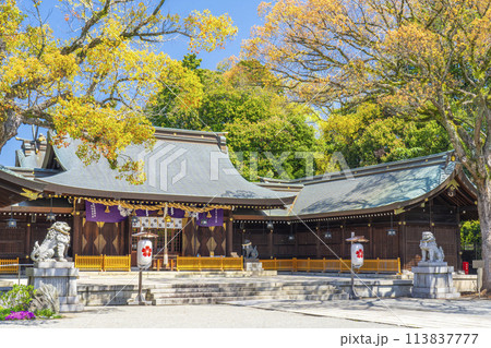 兵庫縣姫路護國神社(姫路護国神社) 兵庫縣姫路護國神社(姫路護国神社) 113837777