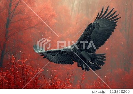 eagle in red fog eagle in red fog 113838209