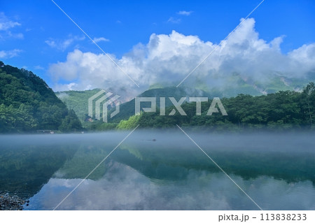 朝霧に包まれた幻想的な大正池の情景＠上高地、長野 113838233