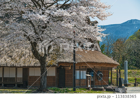 世界遺産 菅沼合掌造り集落の春景色 世界遺産 菅沼合掌造り集落の春景色 113838365