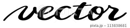 手描きの「vector」文字 手描きの「vector」文字 113838681