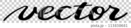 Hand drawn "vector" lettering 113838681