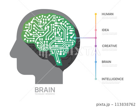 circuit brain concept infograph technology template, presentation vector infographics. circuit brain concept infograph technology template, presentation vector infographics. 113838762