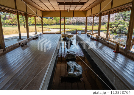岡山県 春の岡山後楽園の流店からの園内の桜の眺め 岡山県 春の岡山後楽園の流店からの園内の桜の眺め 113838764