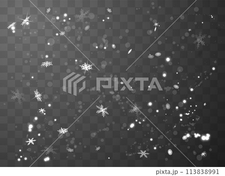 Vector Christmas scene with snowflakes and shimmering particles. 113838991