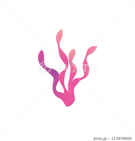 Vector illustration of pink seaweed as useful food ingredients on a white background 113839000