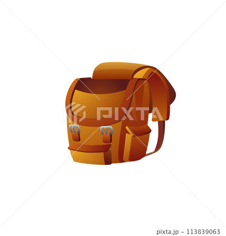 Classic brown backpack vector illustration 113839063