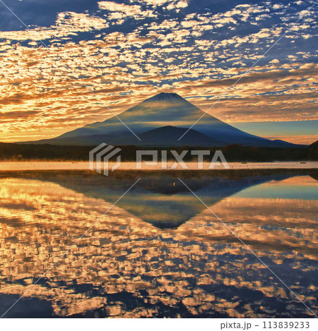 精進湖から富士山の美しい朝風景 113839233
