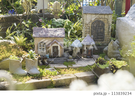 ガーデニングイメージ　モルタル造形 113839234