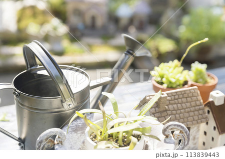 ガーデニングイメージ 113839443