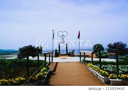 長島夢追い花フェスタ　素材　背景 113839492