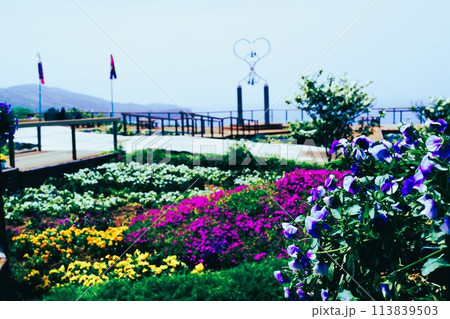 長島夢追い花フェスタ　素材　背景 113839503