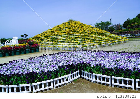 長島夢追い花フェスタ 素材 背景 長島夢追い花フェスタ 素材 背景 113839523