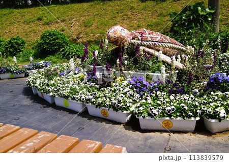 長島夢追い花フェスタ　素材　背景 113839579