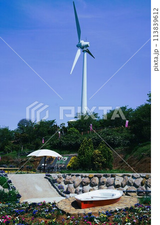 長島夢追い花フェスタ　素材　背景 113839612