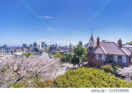 神戸異人館周辺の都市風景　満開の桜 113839689