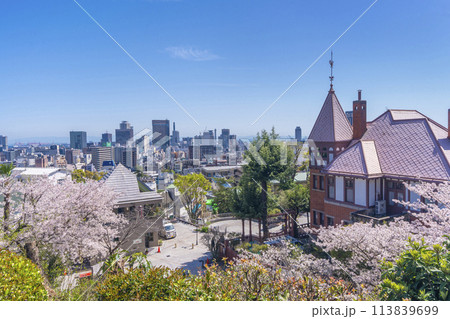 神戸異人館周辺の都市風景 満開の桜 神戸異人館周辺の都市風景 満開の桜 113839699