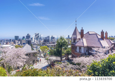 神戸異人館周辺の都市風景　満開の桜 113839700