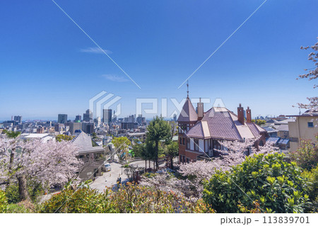 神戸異人館周辺の都市風景 満開の桜 神戸異人館周辺の都市風景 満開の桜 113839701