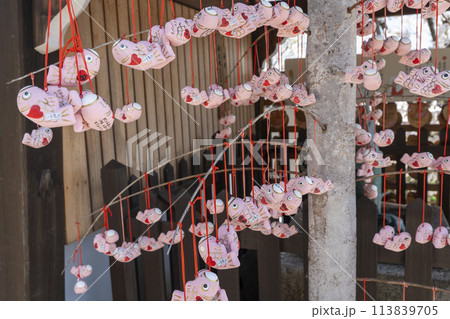 北野天満神社 手水舎(叶い鯉) 鯉の張子 北野天満神社 手水舎(叶い鯉) 鯉の張子 113839705