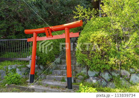 北野天満神社　水天宮　朱塗りの鳥居 113839734