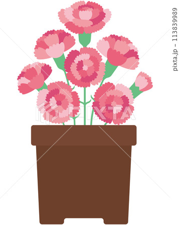植木鉢のカーネーションのイラスト(文字なし) 植木鉢のカーネーションのイラスト(文字なし) 113839989