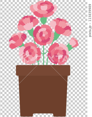 植木鉢のカーネーションのイラスト(文字なし) 植木鉢のカーネーションのイラスト(文字なし) 113839989