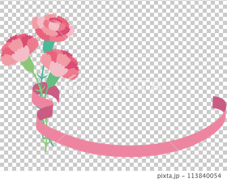 母の日のカーネーションとピンクリボンのフレームイラスト（文字なし） 113840054