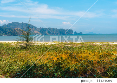 summer day sea beach scenery Grass and small islands at the sea summer day sea beach scenery Grass and small islands at the sea 113840691