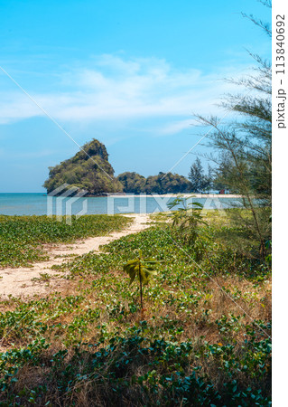 summer day sea beach scenery Grass and small islands at the sea summer day sea beach scenery Grass and small islands at the sea 113840692