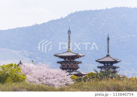 西ノ京の大池（勝間田の池）越しに眺める薬師寺の風景　満開の桜 113840754