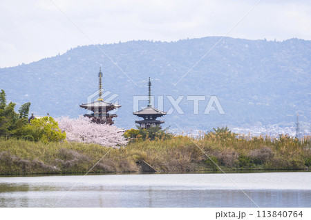 西ノ京の大池(勝間田の池)越しに眺める薬師寺の風景 満開の桜 西ノ京の大池(勝間田の池)越しに眺める薬師寺の風景 満開の桜 113840764