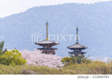 西ノ京の大池(勝間田の池)越しに眺める薬師寺の風景 満開の桜 西ノ京の大池(勝間田の池)越しに眺める薬師寺の風景 満開の桜 113840765