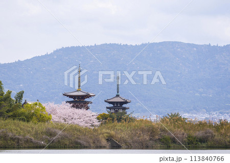 西ノ京の大池（勝間田の池）越しに眺める薬師寺の風景　満開の桜 113840766
