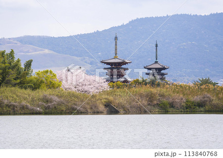 西ノ京の大池（勝間田の池）越しに眺める薬師寺の風景　満開の桜 113840768