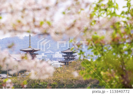 西ノ京の大池(勝間田の池)越しに眺める薬師寺の風景 満開の桜 西ノ京の大池(勝間田の池)越しに眺める薬師寺の風景 満開の桜 113840772