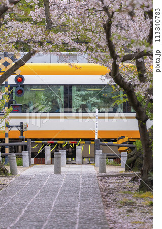 奈良 休ヶ岡八幡宮(薬師寺八幡宮)の桜並木の参道と近鉄電車 奈良 休ヶ岡八幡宮(薬師寺八幡宮)の桜並木の参道と近鉄電車 113840783