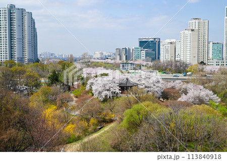 桜咲く夢村亭と松坡区の町並み【ソウル特別市】 桜咲く夢村亭と松坡区の町並み【ソウル特別市】 113840918